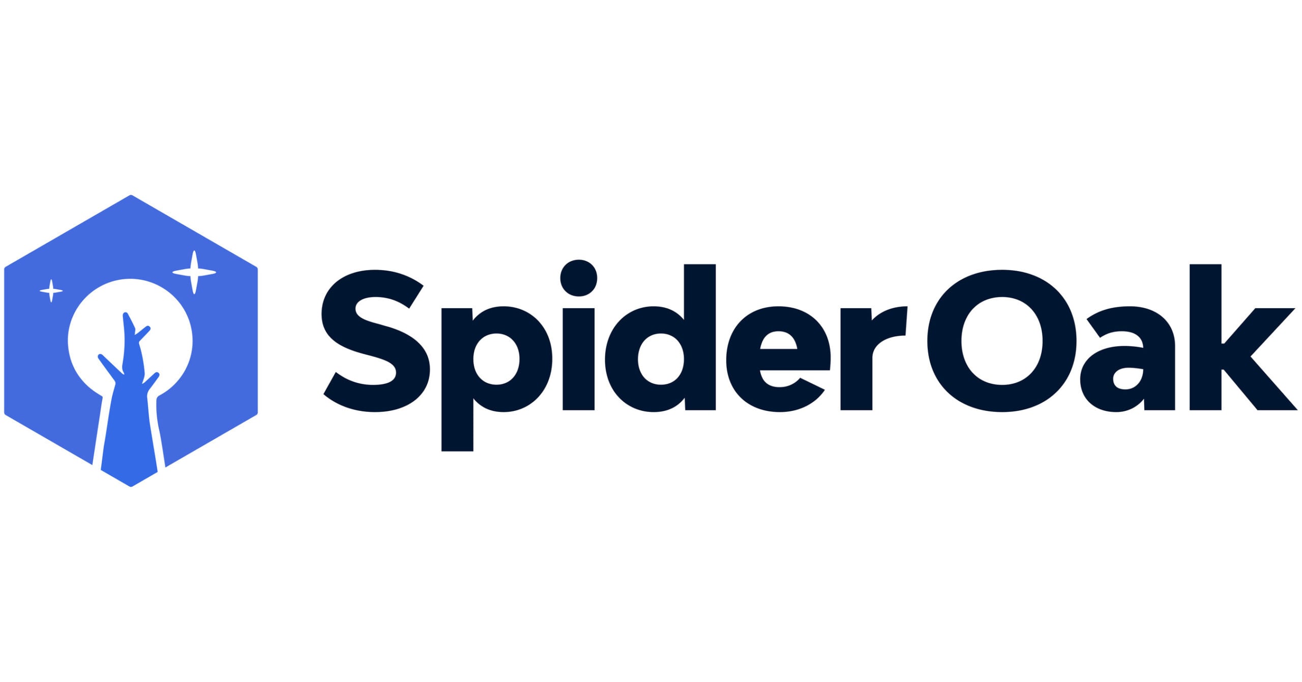 Spideroak Inc Logo